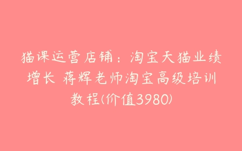 猫课运营店铺：淘宝天猫业绩增长 蒋辉老师淘宝高级培训教程(价值3980)-51自学联盟