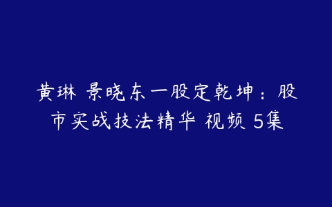 黄琳 景晓东一股定乾坤：股市实战技法精华 视频 5集-51自学联盟