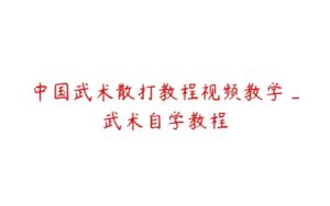 中国武术散打教程视频教学_武术自学教程-51自学联盟