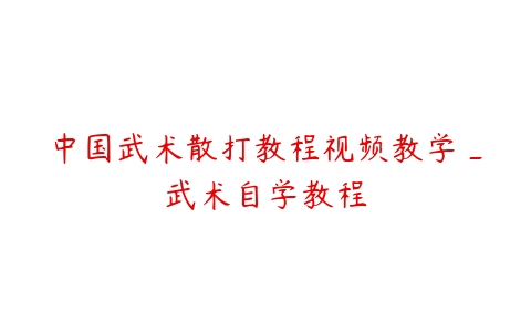 中国武术散打教程视频教学_武术自学教程课程资源下载