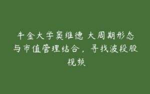 牛金大学窦维德 大周期形态与市值管理结合，寻找波段股 视频-51自学联盟