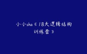 小小sha《18天逻辑结构训练营》-51自学联盟