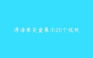 傅海棠实盘展示20个视频-51自学联盟