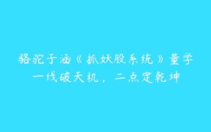 骆驼子涵《抓妖股系统》量学一线破天机，二点定乾坤-51自学联盟