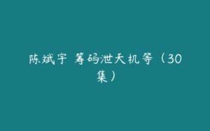 陈斌宇 筹码泄天机等（30集）-51自学联盟