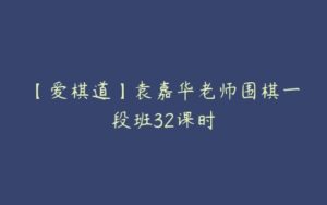 【爱棋道】袁嘉华老师围棋一段班32课时-51自学联盟