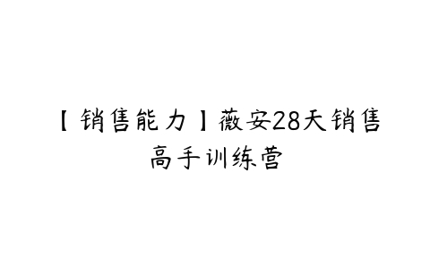 【销售能力】薇安28天销售高手训练营课程资源下载