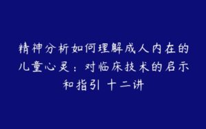 精神分析如何理解成人内在的儿童心灵：对临床技术的启示和指引 十二讲-51自学联盟