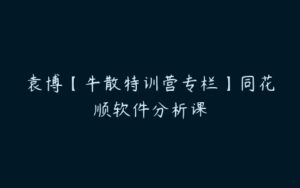 袁博【牛散特训营专栏】同花顺软件分析课-51自学联盟