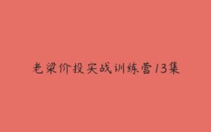 老梁价投实战训练营13集-51自学联盟