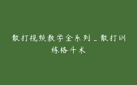 散打视频教学全系列_散打训练格斗术百度网盘下载