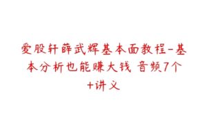 爱股轩薛武辉基本面教程-基本分析也能赚大钱 音频7个+讲义-51自学联盟