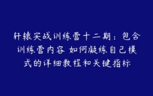 轩辕实战训练营十二期：包含训练营内容 如何凝练自己模式的详细教程和关键指标-51自学联盟