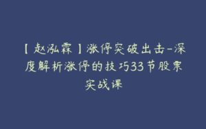 【赵泓霖】涨停突破出击-深度解析涨停的技巧33节股票实战课-51自学联盟