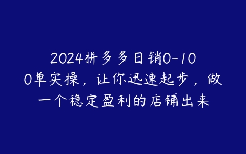 2024拼多多日销0-100单实操，让你迅速起步，做一个稳定盈利的店铺出来-51自学联盟