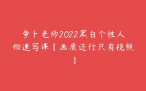 萝卜老师2022黑白个性人物速写课【画质还行只有视频】-51自学联盟