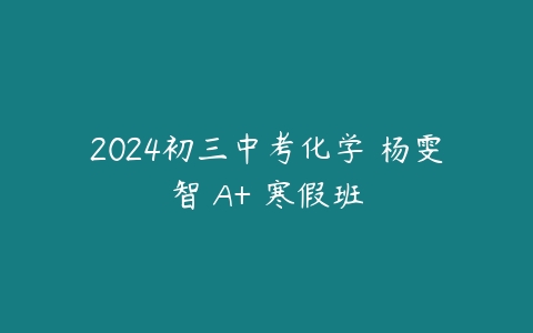 2024初三中考化学 杨雯智 A+ 寒假班百度网盘下载