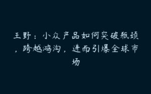 王野：小众产品如何突破瓶颈，跨越鸿沟，进而引爆全球市场-51自学联盟