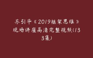 苏引华《2019框架思维》现场讲座高清完整视频(133集)-51自学联盟