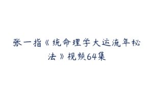 张一指《统命理学大运流年秘法》视频64集-51自学联盟