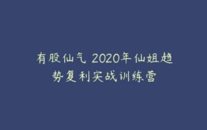 有股仙气 2020年仙姐趋势复利实战训练营-51自学联盟