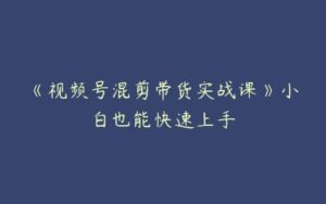 《视频号混剪带货实战课》小白也能快速上手-51自学联盟