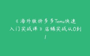 《海外版拼多多Temu快速入门实战课》店铺实战从0到1-51自学联盟