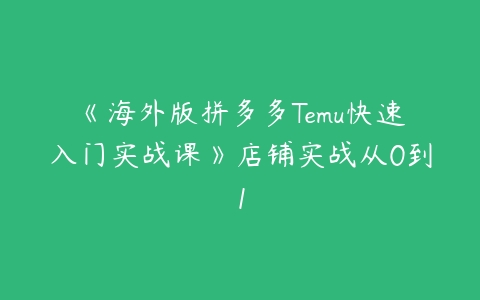 《海外版拼多多Temu快速入门实战课》店铺实战从0到1百度网盘下载