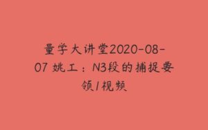 量学大讲堂2020-08-07 姚工：N3段的捕捉要领1视频-51自学联盟