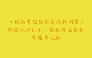 《视频号短视频实战特训营》踩准风口红利，轻松开启视频号爆单之路-51自学联盟