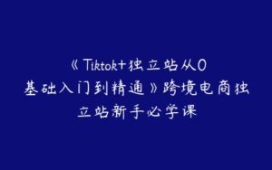 《Tiktok+独立站从0基础入门到精通》跨境电商独立站新手必学课-51自学联盟