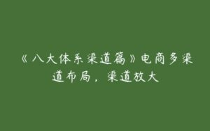 《八大体系渠道篇》电商多渠道布局，渠道放大-51自学联盟