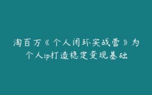 淘百万《个人闭环实战营》为个人ip打造稳定变现基础-51自学联盟