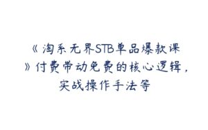 《淘系无界STB单品爆款课》付费带动免费的核心逻辑，实战操作手法等-51自学联盟