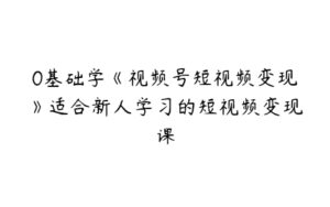 0基础学《视频号短视频变现》适合新人学习的短视频变现课-51自学联盟