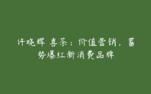 许晓辉–喜茶：价值营销，蓄势爆红新消费品牌-51自学联盟