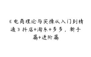 《电商理论与实操从入门到精通》抖店+淘系+多多，新手篇+进阶篇-51自学联盟