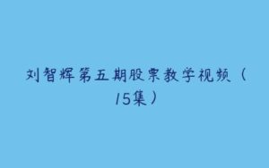 刘智辉第五期股票教学视频（15集）-51自学联盟