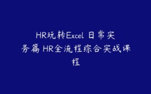 HR玩转Excel 日常实务篇 HR全流程综合实战课程-51自学联盟