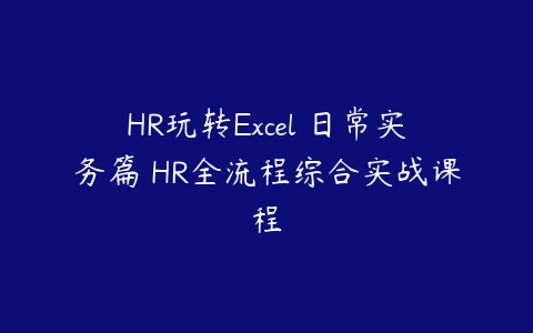 HR玩转Excel 日常实务篇 HR全流程综合实战课程百度网盘下载