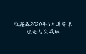 钱鑫淼2020年6月道势术理论与实战班-51自学联盟