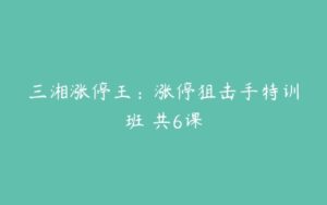 三湘涨停王：涨停狙击手特训班 共6课-51自学联盟