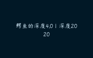 鳄鱼的深度4.0丨深度2020-51自学联盟