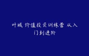 叶城 价值投资训练营 从入门到进阶-51自学联盟