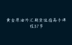 黄金原油外汇期货恒指高手课程37节-51自学联盟