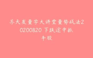 苏天发量学大讲堂量势战法20200820 下跌途中抓牛股-51自学联盟