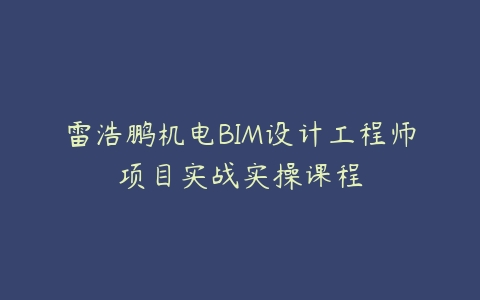 雷浩鹏机电BIM设计工程师项目实战实操课程课程资源下载