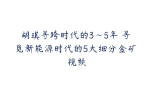 胡琪寻跨时代的3~5年 寻觅新能源时代的5大细分金矿 视频-51自学联盟