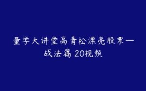 量学大讲堂高青松漂亮股票—战法篇 20视频-51自学联盟