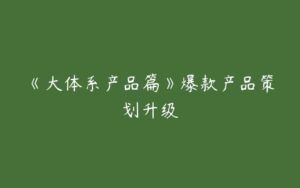 《大体系产品篇》爆款产品策划升级-51自学联盟